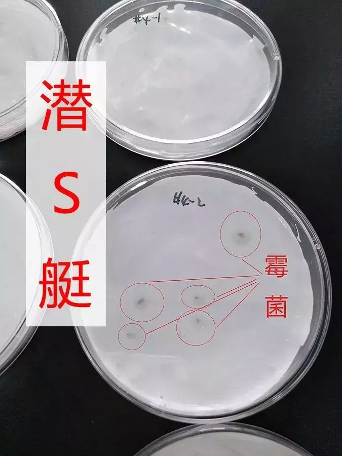 填缝剂怎么操作 填缝剂视频