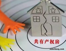 共有房产如何分割 共有房产如何分割拍卖