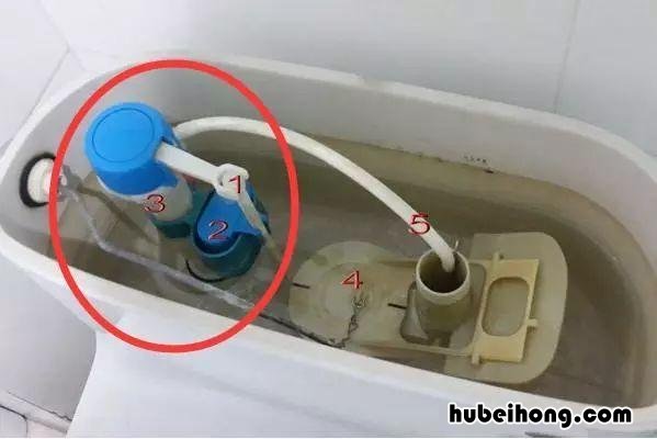 马桶上有好多白色虫子怎么办 马桶里面为什么有很多小白虫子