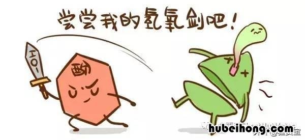 怎样快速去除嘴里的蒜味 怎样快速去除嘴里的蒜味儿