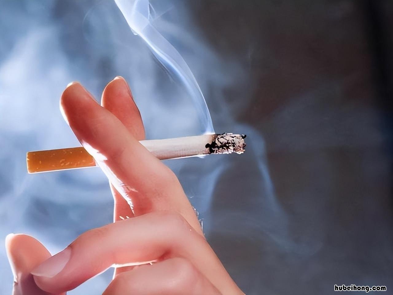 香烟软包装和硬包装的区别 香烟软硬包区别