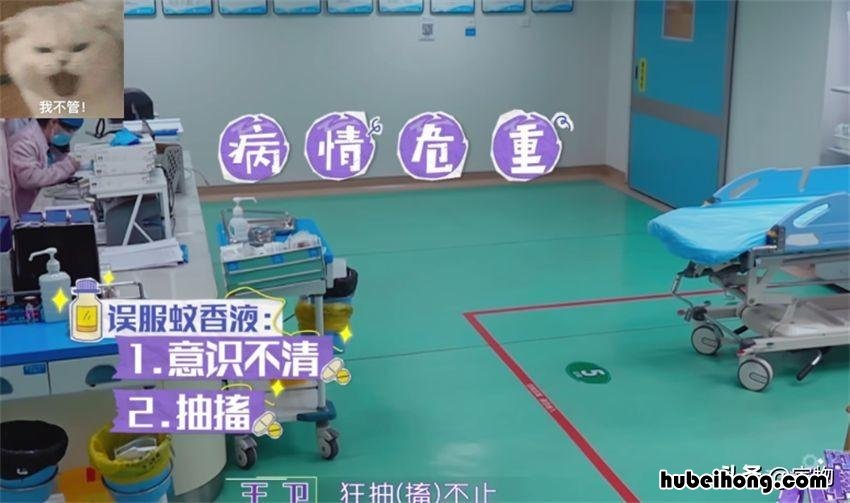 逛超市能给孩子带来什么知识 逛超市算是抵抗无趣人间的一个妙方