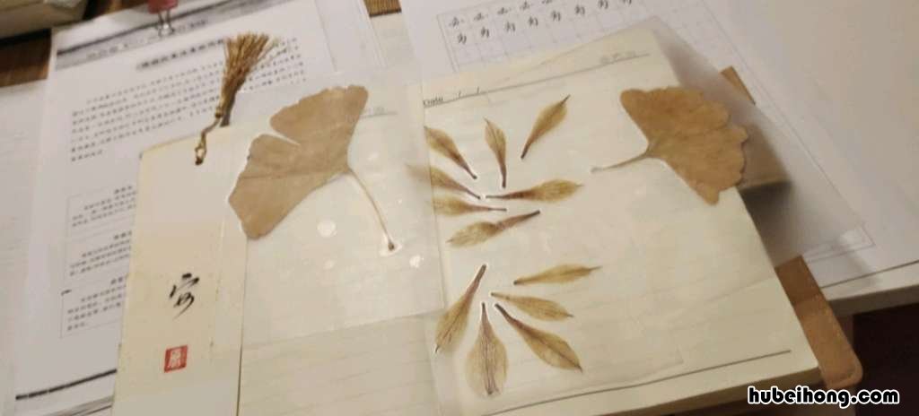茶叶如何储存保鲜 茶叶的储存保管