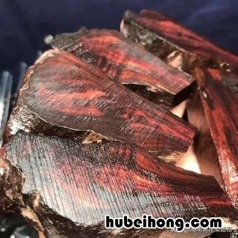 怎样区分海南黄花梨 海南黄花梨怎么区分