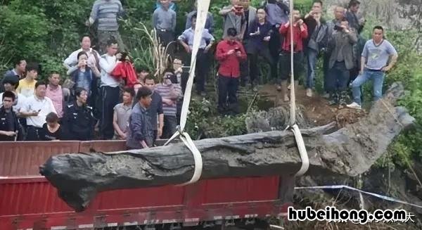 成都乌木案 乌木案最终给了多少