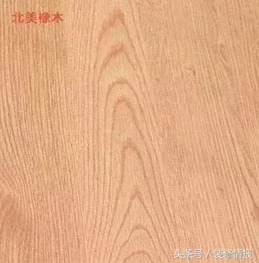 橡木与柞木 橡木和柞木哪个贵