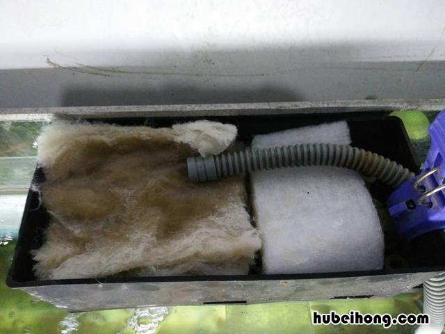 过滤水泵安装在进水口还是出水口 过滤水泵安装视频