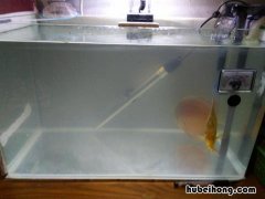 过滤水泵安装在进水口还是出水口 过滤水泵安装视频