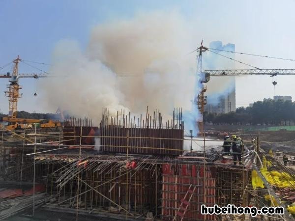 三天两起飞行事故 三天两起老虎
