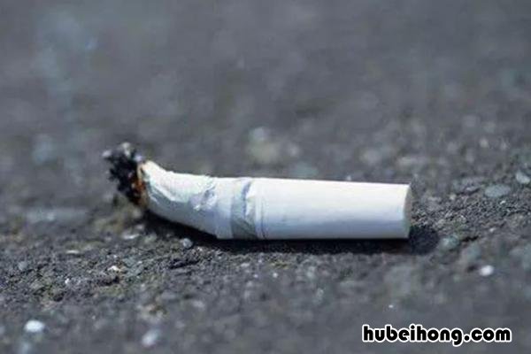 三天两起飞行事故 三天两起老虎