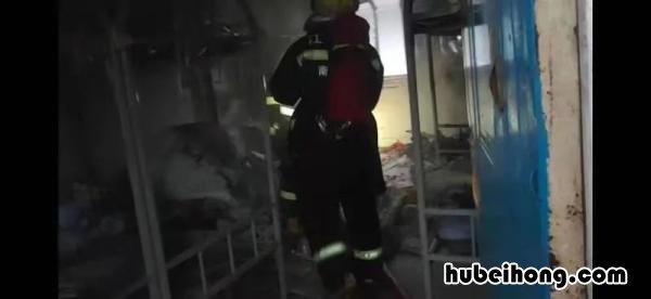 三天两起飞行事故 三天两起老虎