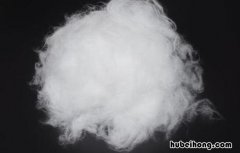 丝绵和棉花的区别是什么 丝绵与棉花