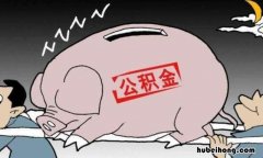 个人公积金账号是多少怎么查询 个人公积金账号查询不到信息是怎么回事