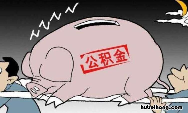 个人公积金账号是多少怎么查询 个人公积金账号查询不到信息是怎么回事