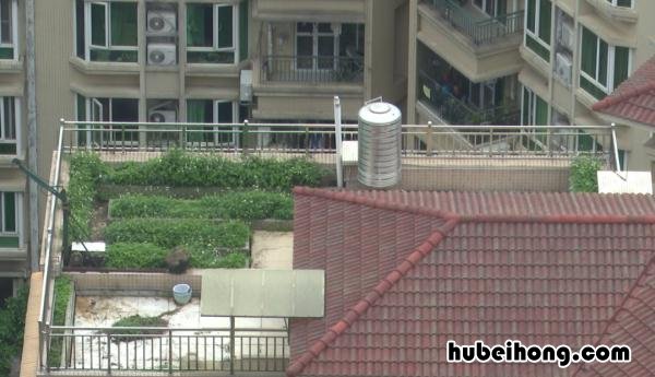 小区半夜叫声 小区半夜怪声不断