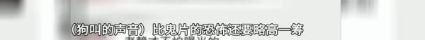 小区半夜叫声 小区半夜怪声不断