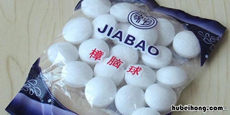 樟脑丸在农业上的应用 樟脑树果实图片