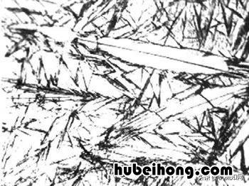 不锈钢永远都不会生锈吗为什么 不锈钢永不生锈吗?