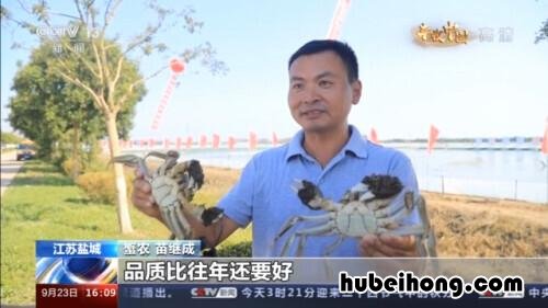怎么选膏蟹 螃蟹怎么选有膏的还是无膏