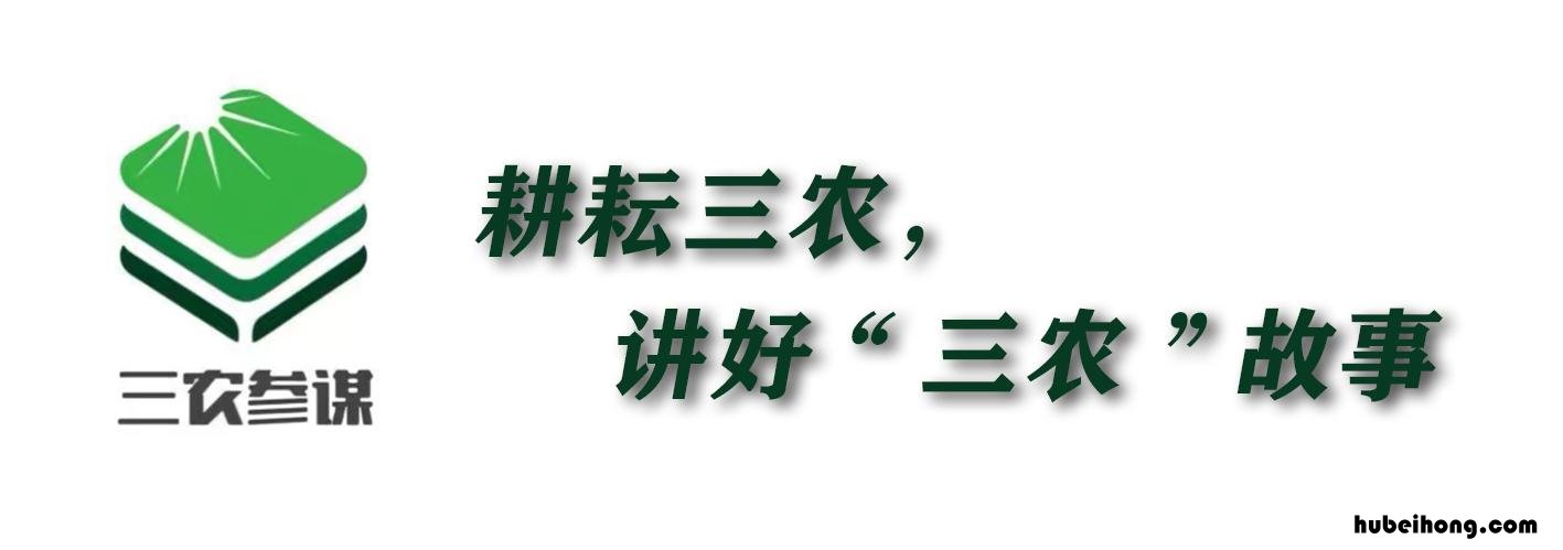 为什么要离开农村 农民去城市工作的原因