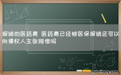 报销的医药费 医药费已经被医保报销还可以向侵权人主张赔偿吗