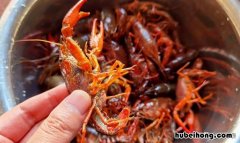 小龙虾红色好还是青色好 小龙虾是青虾贵还是红虾贵