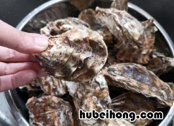 买生蚝的时候怎么挑选 买生蚝怎么挑