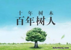 十年树木百年树人的意思是什么 十年树木百年树人的意思是什么意思