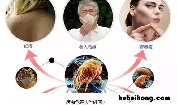 怎么给凉席除螨虫 凉席除螨虫的最快方法花露水