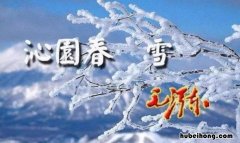 千里冰封万里雪飘的意思是什么 千里冰封万里雪飘表达效果