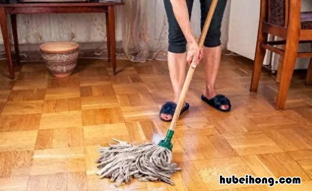 拖把买哪种好 买拖把什么样的最好用