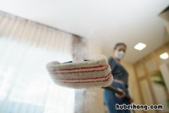 蒸汽拖把的拖布怎么洗 蒸汽拖把干净吗