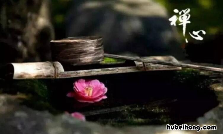 半生已过人生经典句子有哪些 半生已过人生经典短句子
