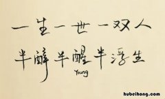 半醉半醒半浮生下一句是什么 半醉半醒半浮生下一句是什么
