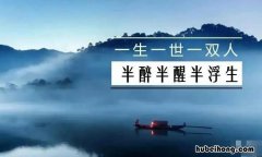 半醉半醒半浮生是什么意思 世间繁华如斯
