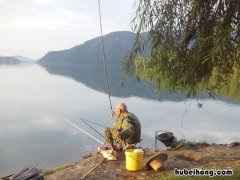 如何判断水域里有没有鱼 如何判断水下有没有鱼