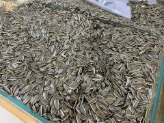 瓜子受潮咋办 瓜子受潮还能吃吗