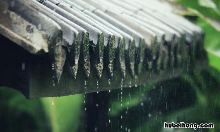 南方的雨季优美句子有哪些 南方的雨季优美句子有哪些短句