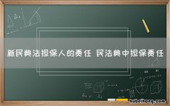 新民典法担保人的责任 民法典中担保责任