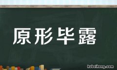 原形毕露的意思是什么 原形毕露出处