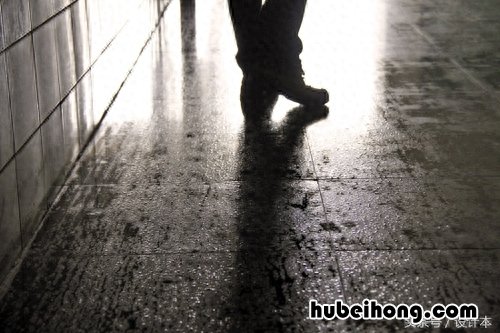 房子潮湿用什么可以去除潮湿 房屋去潮湿方法