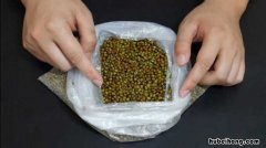 怎样保存绿豆汤 怎样保存绿豆糕