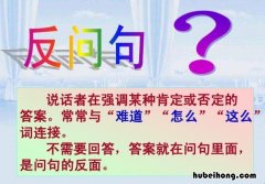 反问句有什么例句 反问句有什么例句二年级