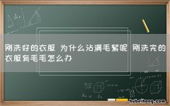 刚洗好的衣服 为什么沾满毛絮呢 刚洗完的衣服有毛毛怎么办
