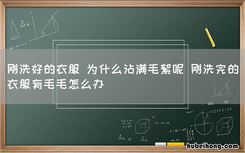 刚洗好的衣服 为什么沾满毛絮呢 刚洗完的衣服有毛毛怎么办