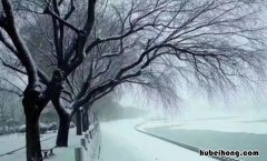 发朋友圈下雪幽默句子有哪些 下雪天发朋友圈的搞笑精美句子