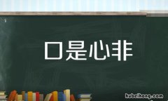 口是心非的近义词是什么 口是心非的近义词语