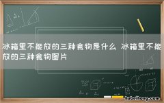 冰箱里不能放的三种食物是什么 冰箱里不能放的三种食物图片