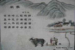 古诗《农家》的原文是什么 农家古诗带拼音读,小视频