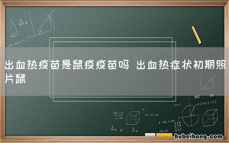 出血热疫苗是鼠疫疫苗吗 出血热症状初期照片鼠